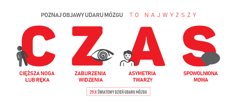 29 Października Światowy Dzień Udaru Mózgu Stowarzyszenie Fizjoterapia Polska 1083